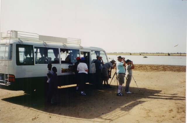 Watching Egyptian Plover with Mauritania and the Sahara in view across the Senegal River